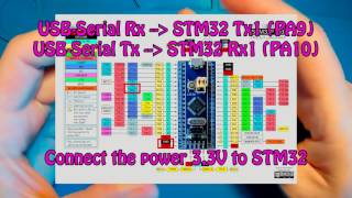 The complete SetupandRun guide of STM32F103C8T6 or similar [upl. by Clapper]