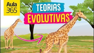 Las Teorías Evolutivas Darwin y Lamarck  Videos Educativos Aula365 [upl. by Inavoj]