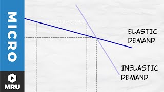 Elasticity of Demand [upl. by Ralyks30]