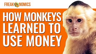 The Experiment That Taught Monkeys How to Use Money  Freakonomics [upl. by Piper361]