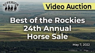 Best of the Rockies 24th Annual Horse Sale [upl. by Mundt834]