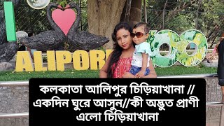 kolkata Alipur zoo Alipur chiriakhana আলিপুর চিড়িয়াখানা west Bengal  pets and Best video [upl. by Geneva]