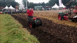 Pflügen mit Holder EB in Nordhorn 2017 [upl. by Toms586]