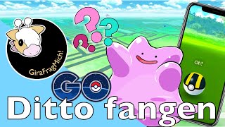 46 Wie findet man Ditto in Pokémon GO 2021 [upl. by Acsirp]