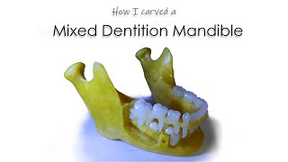 How I carved Mixed Dentition Mandible  ParixArt [upl. by Annairol]