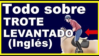 ✅🐴Como aprender el trote levantado beneficios para el caballo trote inglés Doma clásica [upl. by Ahsinod]