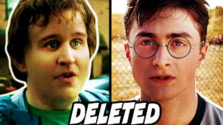 The Most Important Harry Potter Deleted Scene Dudleys Redemption  Harry Potter Explained [upl. by Baras]