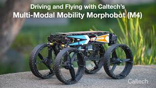 M4 Drives and Flies Around Caltechs Campus [upl. by Longerich930]