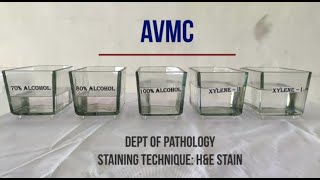 Hematoxylin amp Eosin Staining Procedure Principle with Video Lecture [upl. by Daegal]