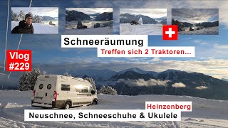 229 Traummorgen in der Schweiz  Heinzenberg Neuschnee  Schneeräumung  Schneeschuh Tour  4K [upl. by Farnsworth]