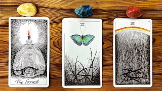 ONLY 01 WILL SEE THIS MESSAGE 🕯️🦋🌈  Pick a Card Tarot Reading [upl. by Garnet]