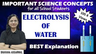 Electrolysis of Water  Chemical Effects of Current  Science  Electrochemistry  Class X Science [upl. by Weinman]