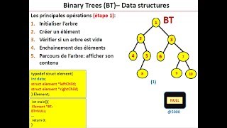 Les arbres binaires  structures de données  cours amp exemple [upl. by Four]