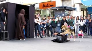 LORD VADER IS ATTACKED BY A DOG amazing [upl. by Yssirc]