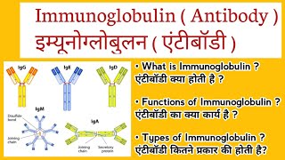 Immunoglobulin  Antibody IgG IgM IgE IgD IgA in Hindi  एंटीबॉडी और इसके प्रकार [upl. by Yrallam]