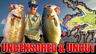 Texas Winter Bass Fishing RAW and UNCUT  Live LIVESCOPE Bass Feeding Footage [upl. by Robson]