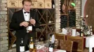 Types of Dessert Wines  Tokaji Aszú Dessert Wines [upl. by Nawram]