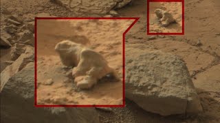 Searching for alien life in Mars photos [upl. by Seiber]