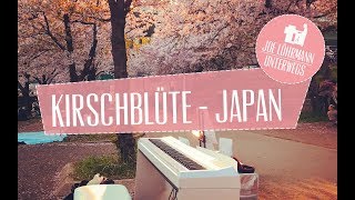 My Traveling Piano in Japan zur Kirschblüte  Follow The Sun Joe Löhrmann [upl. by Mich904]