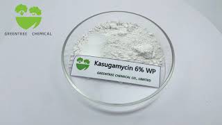 Kasugamycin 6 WP CAS NO 6980183 Fungicide [upl. by Jehial451]