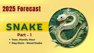 2025 Snake Zodiac Sign Part 1  Monthwise Forecast  Wood Snake Year  Alan Stirling [upl. by Clintock]