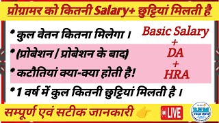 प्रोग्रामर कितनी वेतनछुट्टियां मिलती है  Programmer Total Salary  Programmer Basic Salary DA HRA [upl. by Mello]