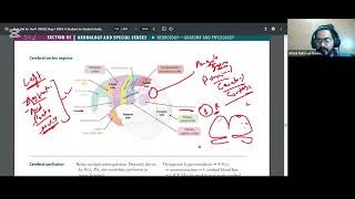 CNS PHYSIO amp ANATOMY PART8 CEREBRAL CORTEX REGIONS FIRST AID USMLE STEP1 URDUHINDI [upl. by Jews397]