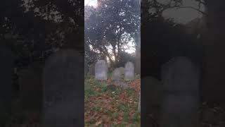 Stoke Newington Graveyard [upl. by Atnahc]