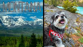 Hiking Kootenai Falls in MONTANA Our GRIZZLY BEAR encounter [upl. by Yasmine]