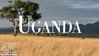 Uganda 4K Ultra HD • Stunning Footage Uganda  Relaxation Film With Calming Music  4k Videos [upl. by Eirrehs]