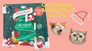 CALENDARIO DE ADVIENTO PARA GATITOS [upl. by Urbai]