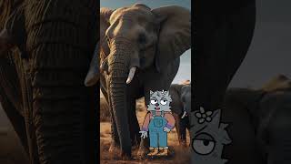 Can Elephants recognize themselves animalfacts didyouknow elephants animation facts [upl. by Ailadi]