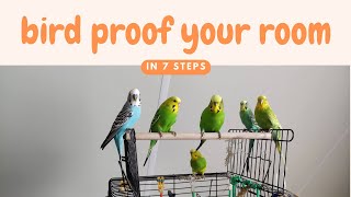 How to Bird Proof A Room Try These 7 Steps [upl. by Sayer]