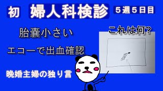 初めての婦人科検診（５週５日目） [upl. by Farwell358]