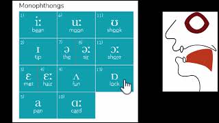 IPA chart with mouth positions  Fricatives Plosives Affricates Approximants  Tune Your English [upl. by Ybloc]