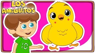 Pollito Amarillito 🐥 y muchas máss cancion infantil  Los Amiguitos [upl. by Mharg]