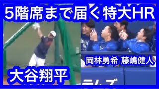 大谷翔平が打撃練習で5階席まで届く特大HRを放った直後の岡林勇希 藤嶋健人も大塚コーチも大興奮！ 中日ドラゴンズVS侍ジャパン 壮行試合 202334 [upl. by Cosmo]