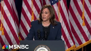 How Kamala Harris ‘reinvigorated’ the Democratic base [upl. by Chavaree14]