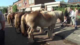 Paardenmarkt Rijnsburg 2015  RTV Katwijk [upl. by Plotkin956]