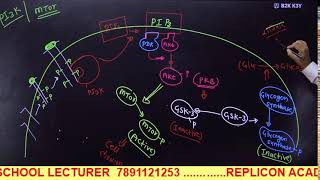 CELL SIGNALING PART 3 II GPCR REGULATION II RTK SIGNALING II CSIR NET LIFE SCIENCE [upl. by Nee]