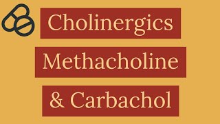 Cholinergic Drugs  Methacholine and carbachol [upl. by Malinde]