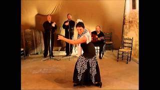 Baile Flamenco Volumen 2 parte 1 bamberas [upl. by Nylarahs165]