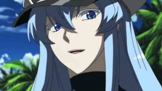 Tatsumi x Esdeath Historia [upl. by Partridge160]