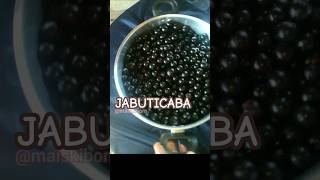 Jabuticaba receitas geleia jabuticaba [upl. by Anniram]