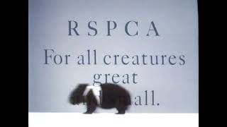 Australian RSPCA reluctant wombat TV commercial ad circa 1989 [upl. by Anavahs145]