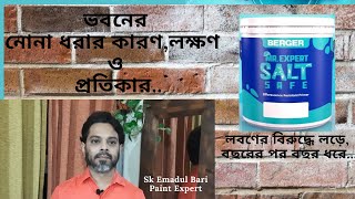 ভবনের নোনা ধরার কারণ লক্ষণ ও প্রতিকার ।। Berger Mr Expert Salt Safe ।। [upl. by Aratahs]