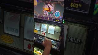 are Oklahoma slot machines in casinos a scam full bingo blackout unpaid jackpot at 2 dollars [upl. by Arikahc]