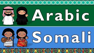 AFROASIATIC ARABIC amp SOMALI [upl. by Iana]