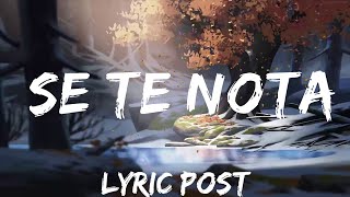 Lele Pons amp Guaynaa  Se Te Nota LetraLyrics  Music is for me [upl. by Bondy]