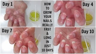 How to grow your nails really fast and long in just 10 days  Mamtha Nair [upl. by Annasus137]